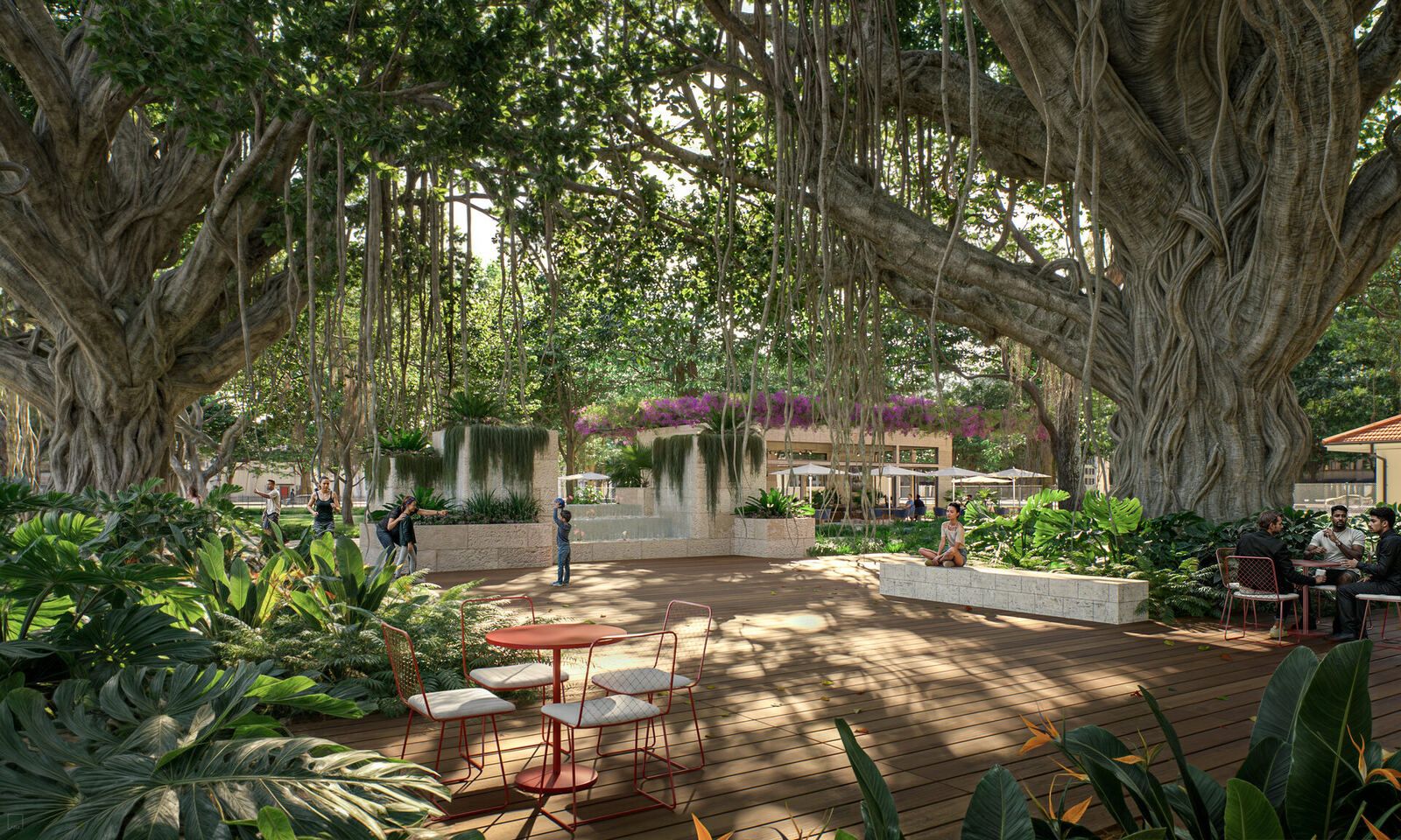 Mature banyan canopy outside the building